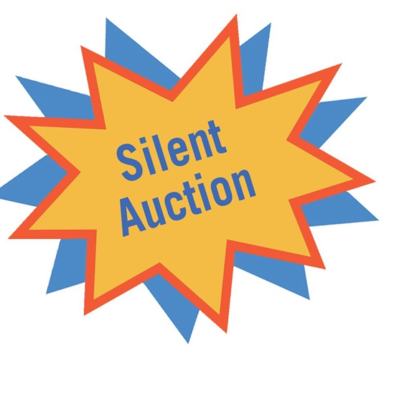 Online Silent Auction 1